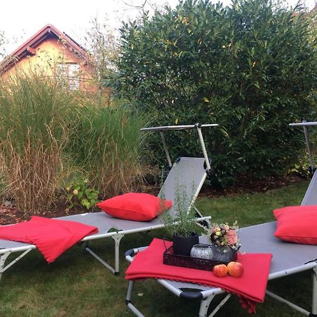 Gaestezimmer Hortensie Weil der Stadt Exterior photo